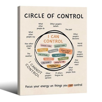 Wrapped Framed Motivational Wall Art 12x16 inch Circle Of Control Quotes Post...