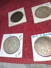 lot of 10 peace silver dollars