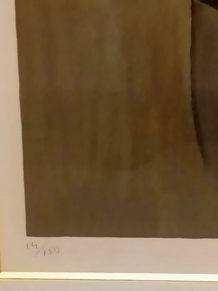 Lithographie originale signée Toffoli numérotée - Photo 4/4