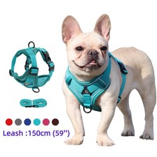 No Pull Dog Harness and Leash Set-Reflective Breathable Mesh for Small Dogs Pug
