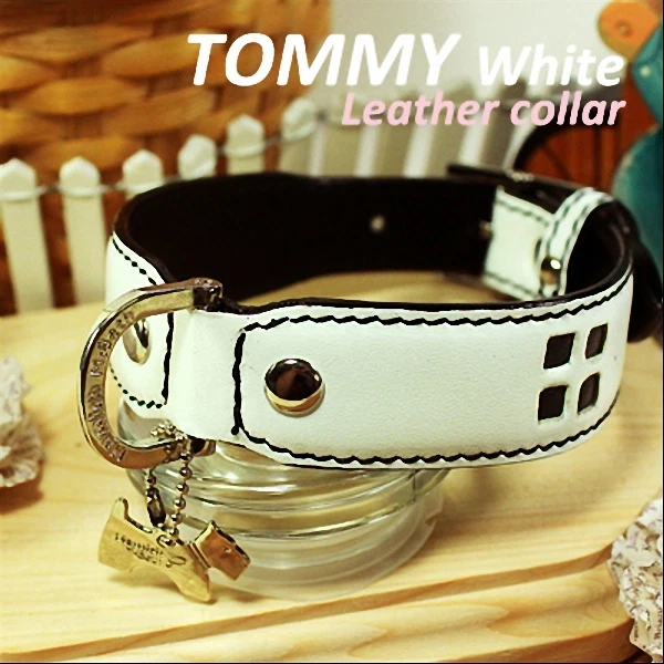 Luxury and Cute Dog Collar- Tommy White Genuine Leather White&Black Leash