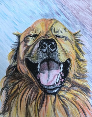 Happy dog drawing | eBay