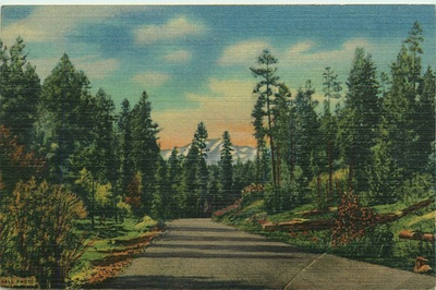#ad Scenic Highway US 70 Mescalero Apache Reservation Roswell NM Vtg Postcard $4.75