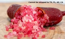 Red Finger Lime Tree ‘Red Champagne’ in 4"Pot Indoor Citrus Plant Grafted Tree