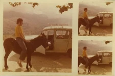 ANTIQUE PHOTO - VINTAGE SNAPSHOT - ANIMAL DONKEY CAR 4L R4 FUNNY - DONKEY CAR