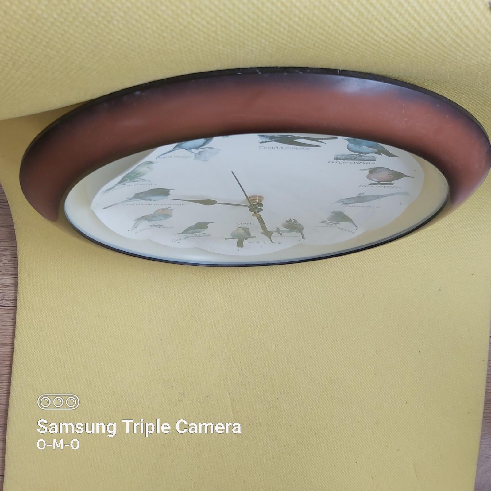 34cm Singing Birds Wall Clock 12 Birds Sounds Sings Every Hour eBay