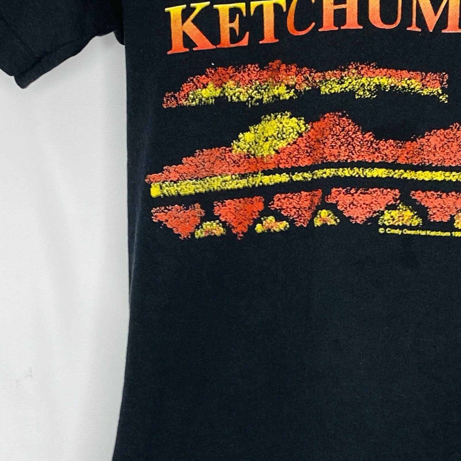 1991 Hal Ketchum Past the Point of Rescue Tour T Shirt XL Single Stitch VINTAGE