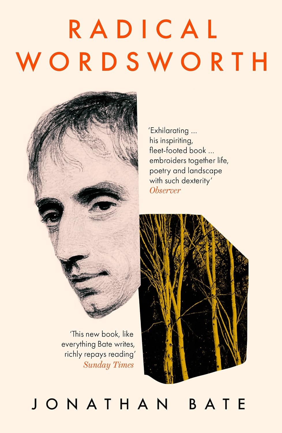 Radical Wordsworth: The Poet Who Changed the World By Jonathan Bate - Image 4