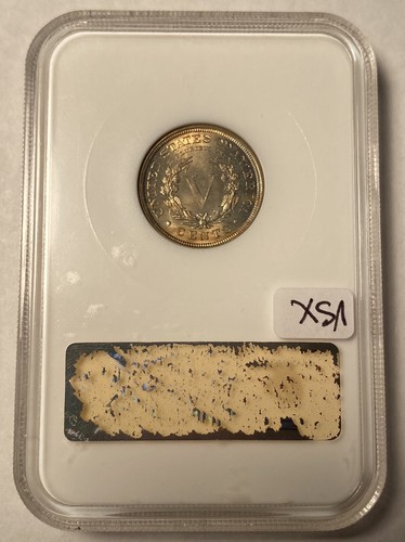 1902 Liberty V Nickel NGC MS64 Gold CAC Sticker Old Fatty Holder Light Toning - Picture 3 of 4
