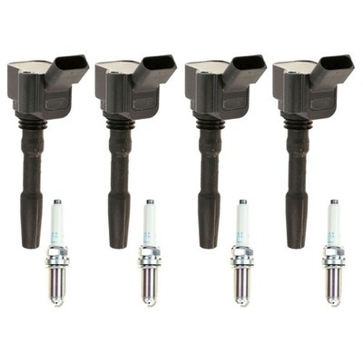 Eldor 4 Ignition Coils NGK Platinum Spark Plugs Kit for A3 A4 A6 Golf Jetta 2.0L