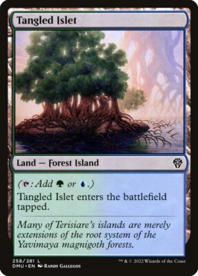 MTG Magic the Gathering Tangled Islet (258/552) Dominaria United LP
