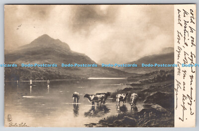 R747316 Bala Lake Tuck Serie 5075 1905