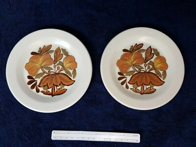 2 X ROYAL WORCESTER PALISSY KISMET 6'' TELLER RETRO 70er