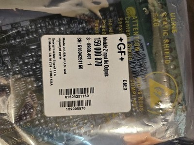 Georg Fischer Signet 159000870 I/O Module 2 Inputs No Outputs