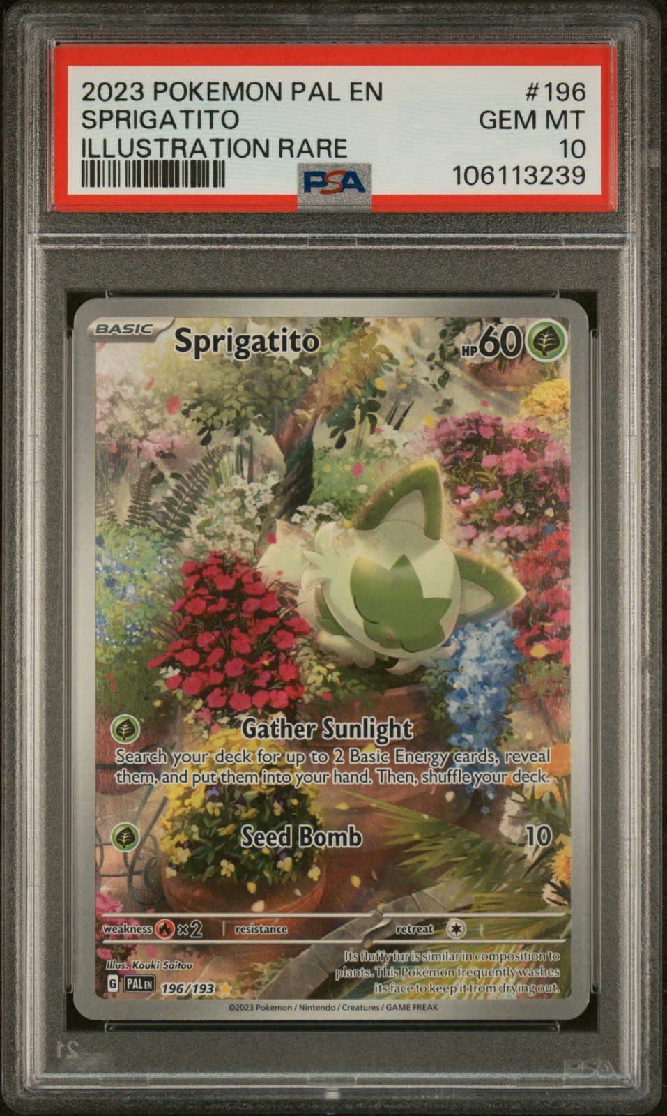 Sprigatito 196/193 Sv02: Paldea Evolved Holo