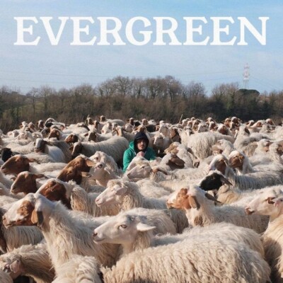 KALKUTTA - EVERGREEN ... UND ANDERE SONGS - 2CD NEU VERSIEGELT 2019