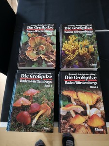 Die Grosspilze Baden Wurttembergs Band 1 2 3 4 Ulmer Krieglsteiner Pilze Fachbuch Ebay