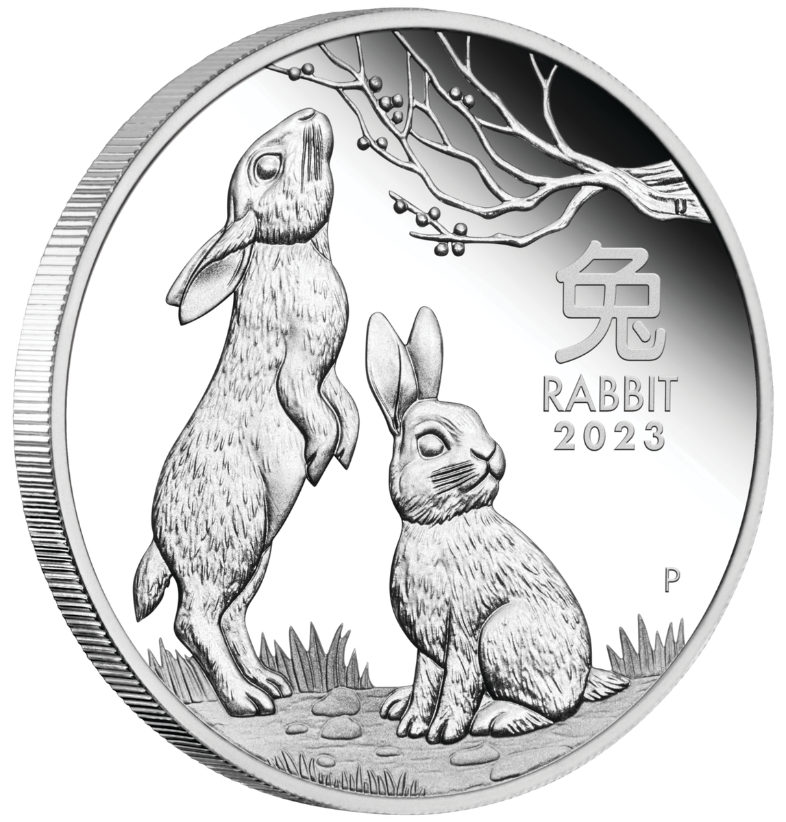 2023 Australia PROOF Lunar Year of the Rabbit 1/2oz Silver Half