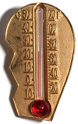 Thermometer Design Pin Thermometer Pin ~ Working | eBay