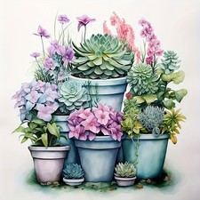 Succulent Plant Paint by Numbers Kit for Adults On Canvas,DIY Easy Adult Pain...