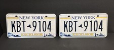 New York Plates KBT-9104 Excelsior Statue of Liberty NYC Skyline Niagara Falls