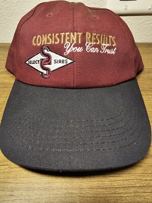 K Products Select Sires Beef Hat Cap Snapback (H4)