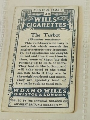 wills tobacco WD HO Wills Cigarettes Tobacco Trading Card 1910 Fish Bait Lure #40 Turbot  Eel
