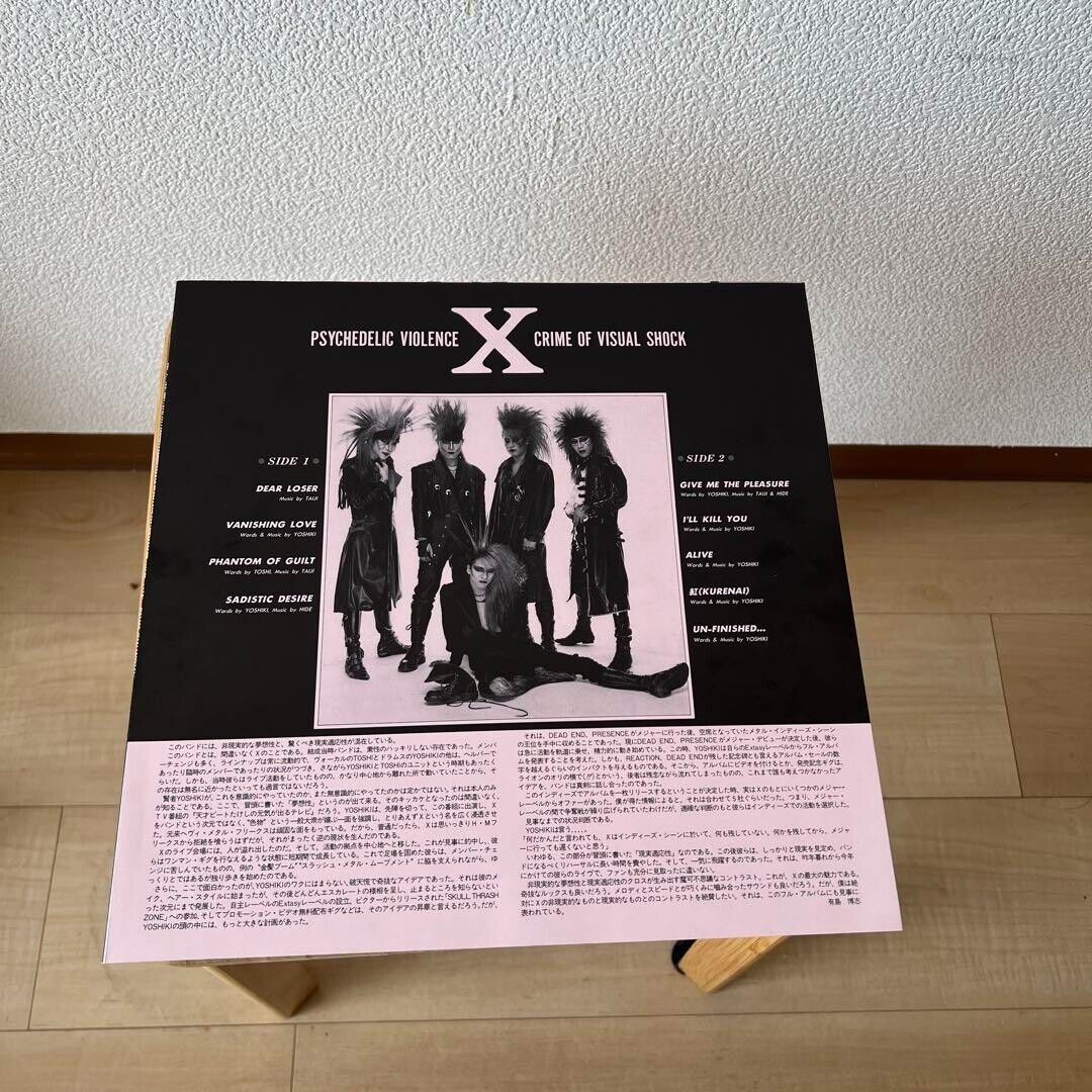 X Japan Vanishing Vision Picture Record LP Japan Record X Japan Vanishing Vision Picture Record LP Japan Record