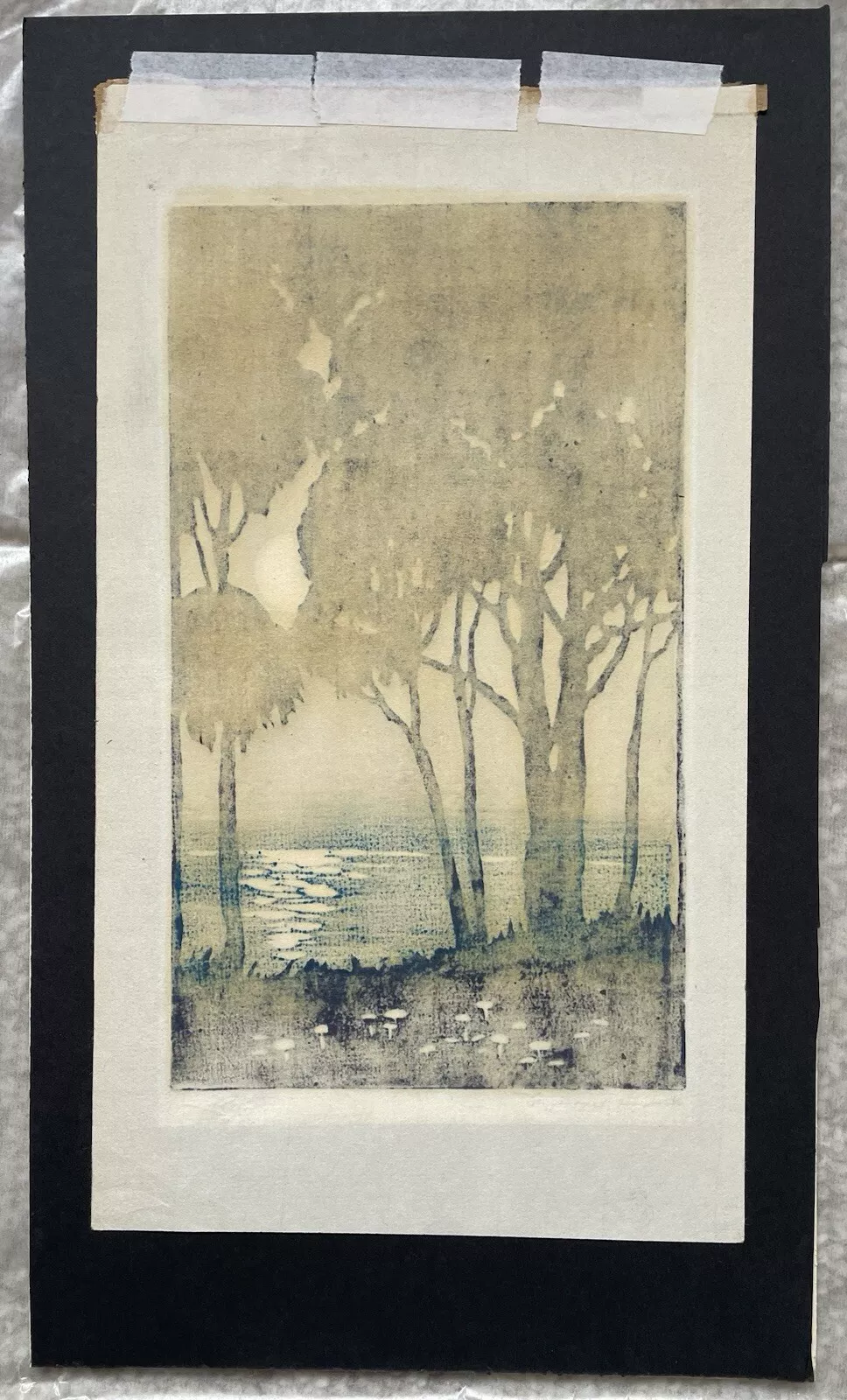 Picture 10 of 18