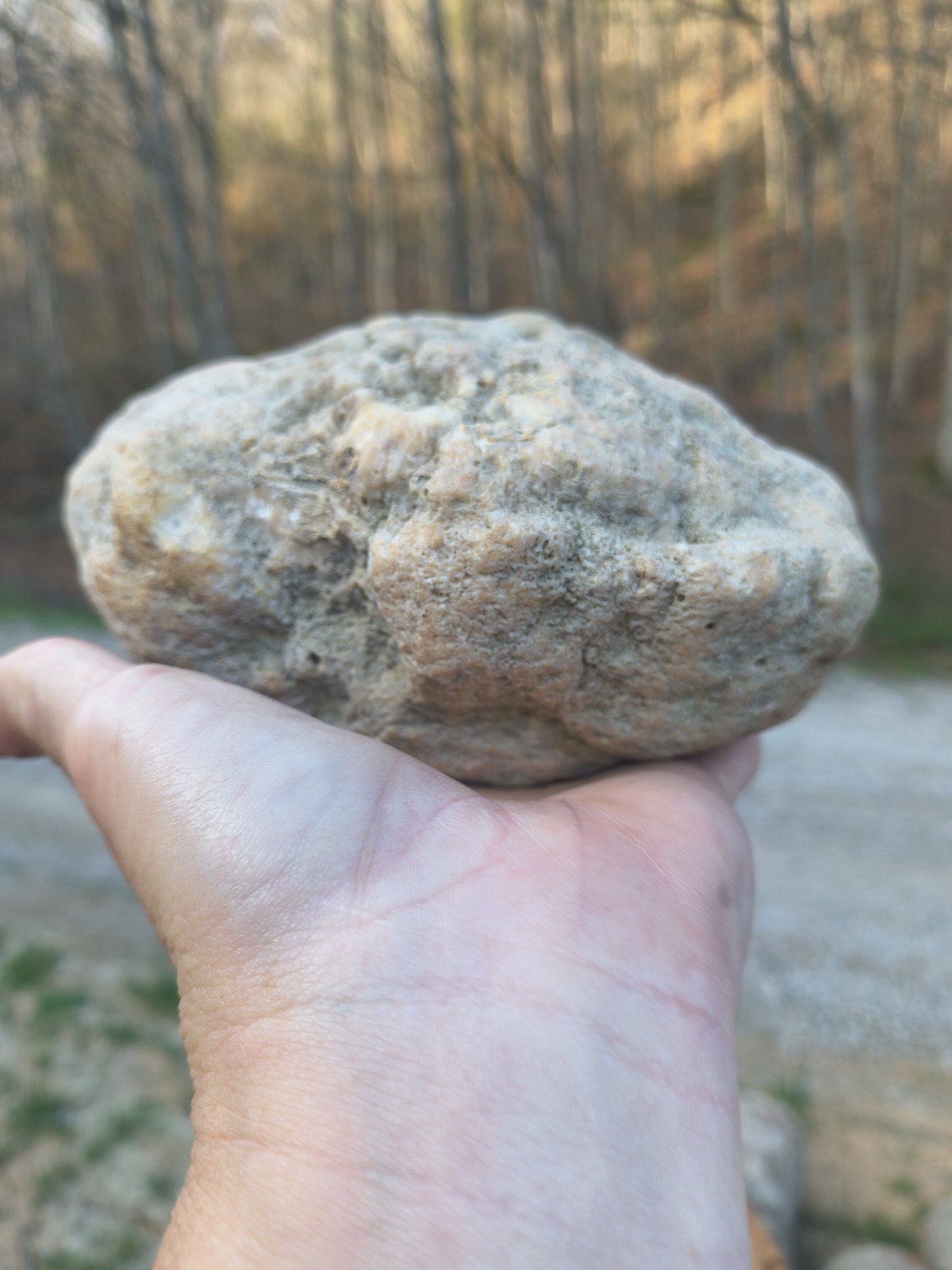 Picture 4