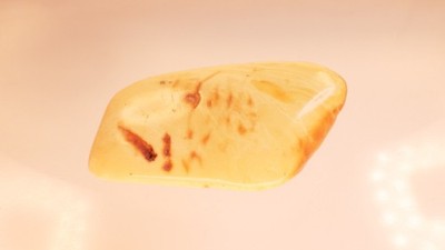 Butterscotch Egg Yolk Amber Bernsteinbrosche 14,9  Gr. aus Bernsteinsammlung