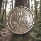 1929 P Lincoln Wheat Cent/ Penny ☆ FREE SHIPPING  — photo 2