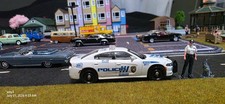 Greenlight Puerto Rico State Police Dodge Charger  #9011  CUSTOM 1/64 diecast