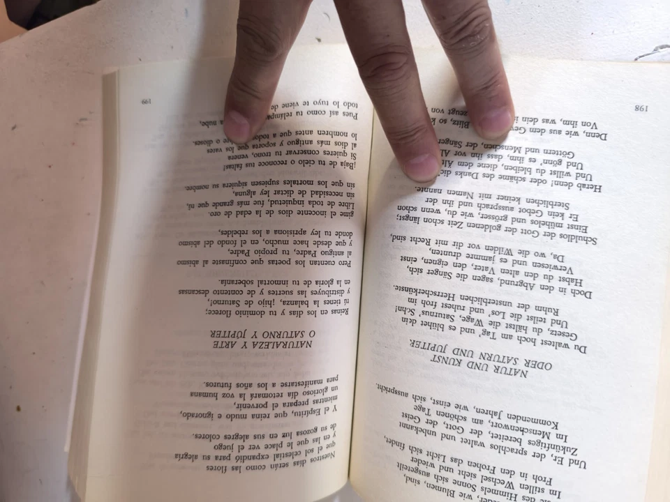 Libro De Poesía _ Holderlin _ Poesía Completa _ Edición Bilingüe - Imagen 3 de 3