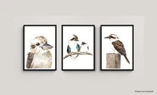 Set of Three Watercolour Kookaburra Prints - Native Australian Bird Art