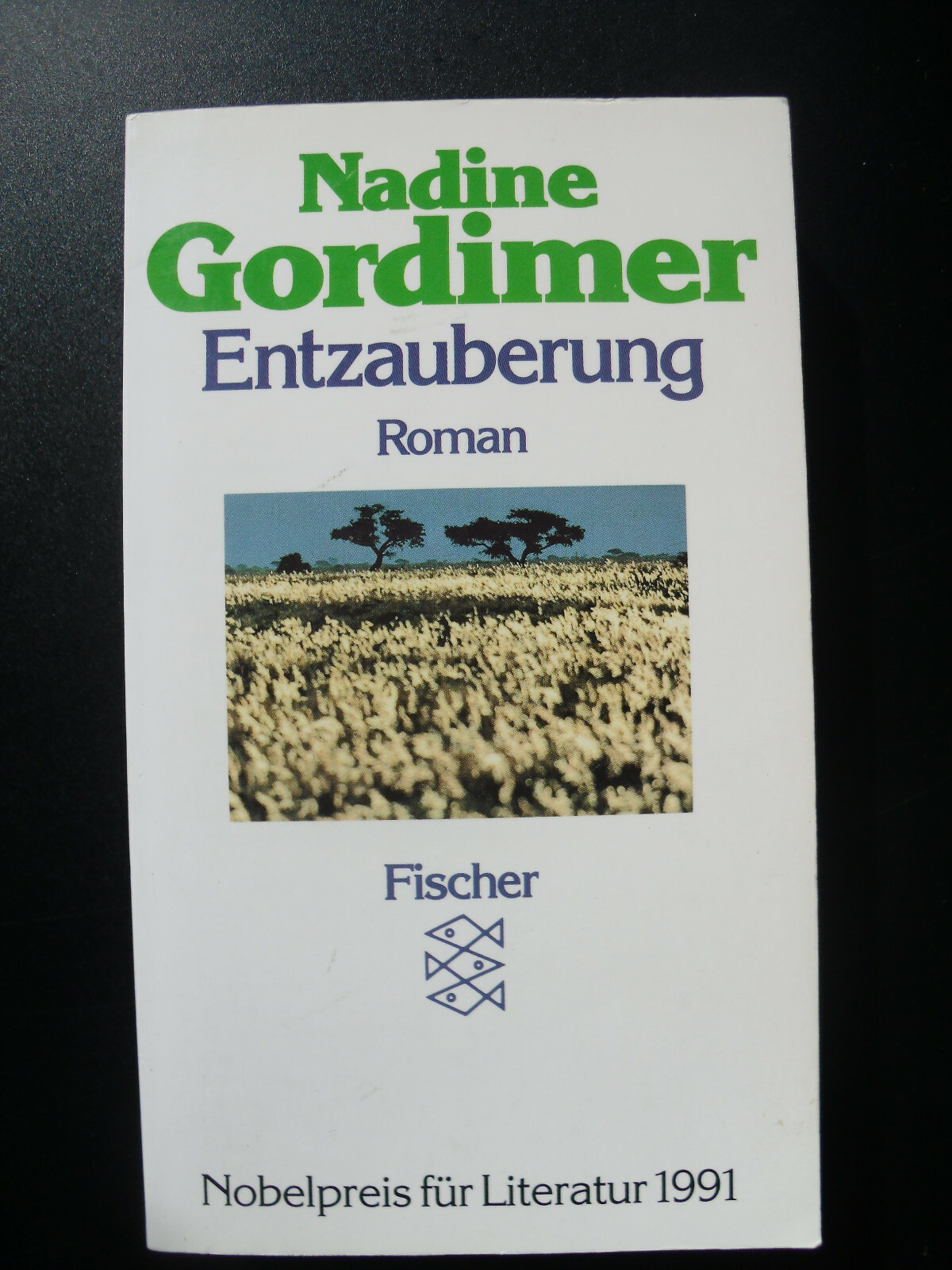Nadine Gordimer: Entzauberung. Fischer. ISBN 3-596-22231-1