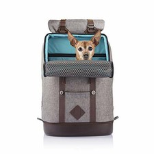 kurgo dog carrier backpack