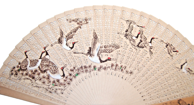 Chinese Wooden Hand Fan Hand-Painted & Carved Decorative with Box