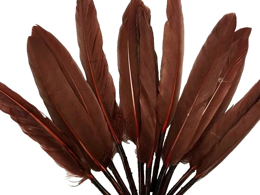 Duck Brown Craft Feathers