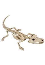 10" Baby Alligator Skeleton Prop