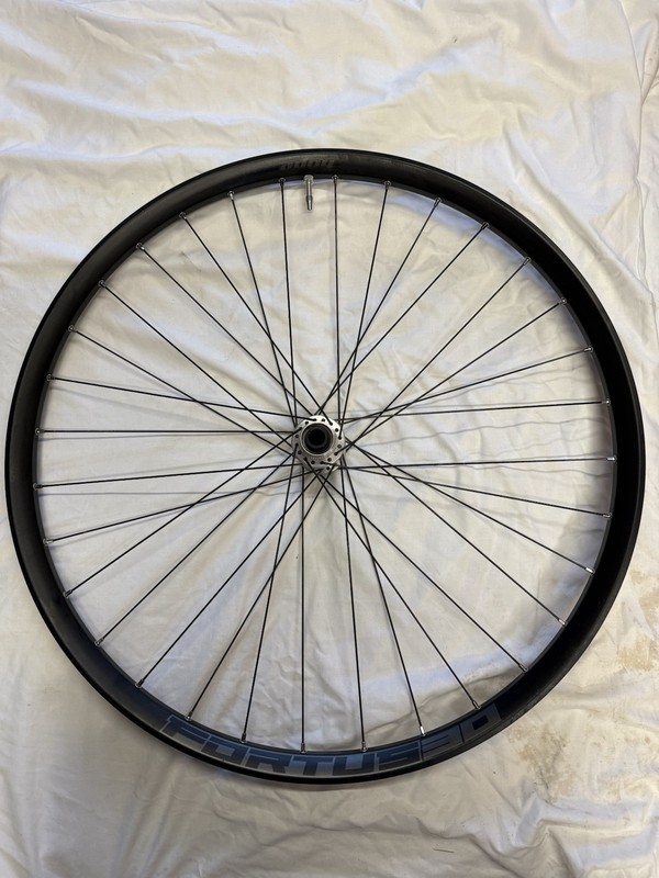 Hope Fortus 30w Pro 5, 29 Inch, E-mtb-  Front wheel, Centre Lock. 110x15mm Boost