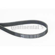 Continental Ctam Keilrippenriemen für VW POLO VI POLO V PASSAT B8 Variant