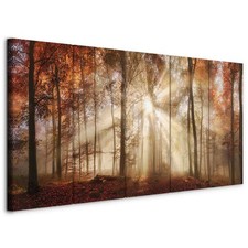 Wald Landschaft Vlies Leinwandbild 5 tlg moderne Wandbilder XXL Natur Bäume