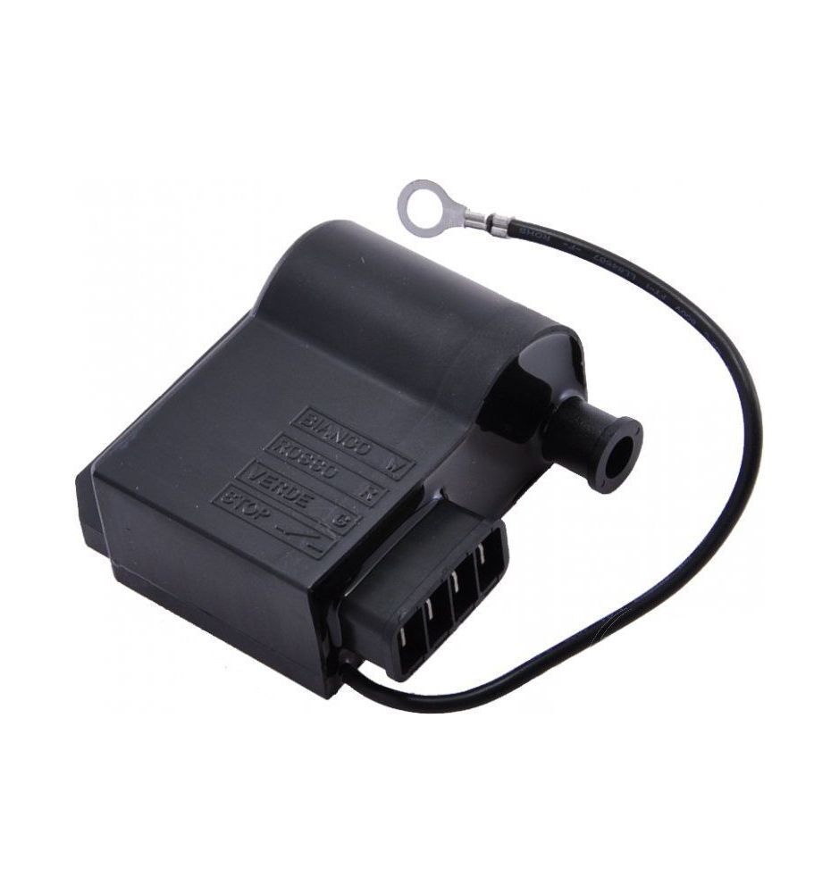 Bobine d'allumage AM6 avec module racing de fabrication taïwanaise pour moto