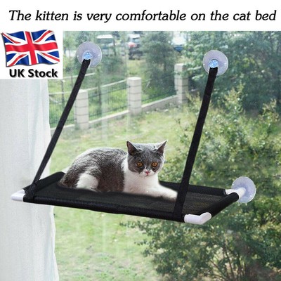 hanging window cat perch