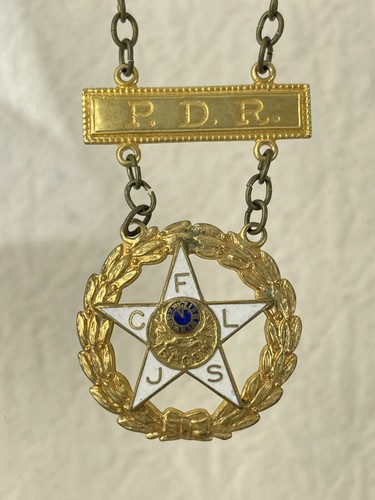 Medalla Esmaltada CFLJS Vintage Elks Masonic IBPOE PDR (Ex Hija Gobernante) - Imagen 3 de 4