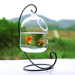 tabletop aquarium