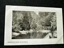 ANTIQUE POSTCARD donnelly's weir healsville 1909 VICTORIA  AUSTRALIA 