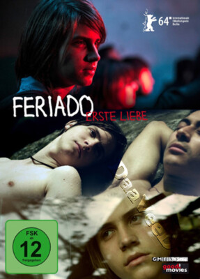 Holiday NEW PAL/NTSC Arthouse DVD Diego Araujo Juan Arregui Ecuador