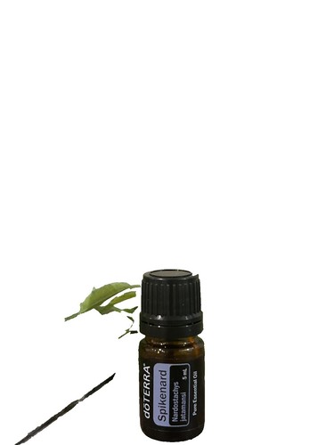 doTerra Helichrysum Essential Oil 5ml New Sealed | eBay
